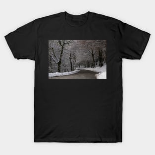 Snow covered woodland tree tunnel over road T-Shirt